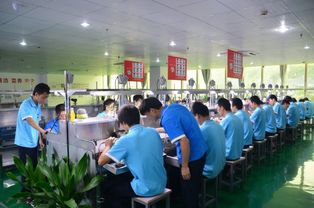 深圳小厂366天都缺人损失大,大厂虽然员工多,却只在旺季招人